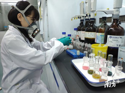 發揮技術優勢，把好發展關 技術服務助力清遠經濟騰飛